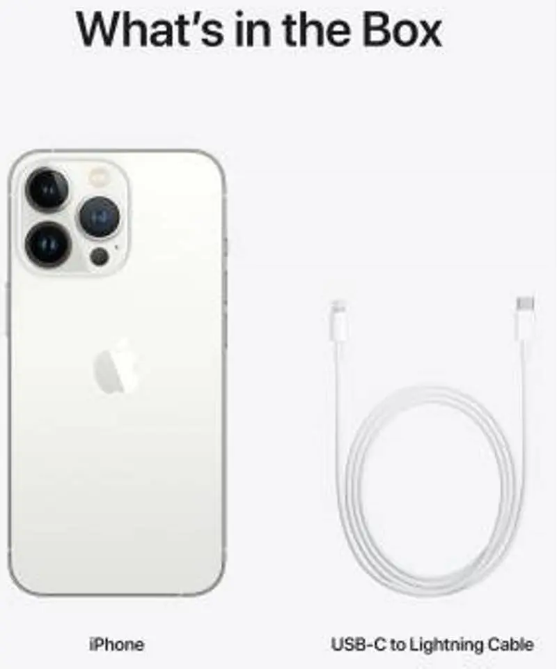 productimage_Apple Iphone 13 Pro (256 GB, Silver)